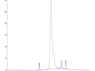 Cynomolgus C-Reactive Protein /CRP Protein (CRP-CM102)