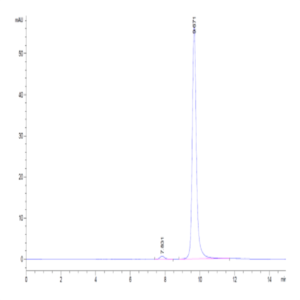 Human C-Reactive Protein /CRP Protein (CRP-HM101)