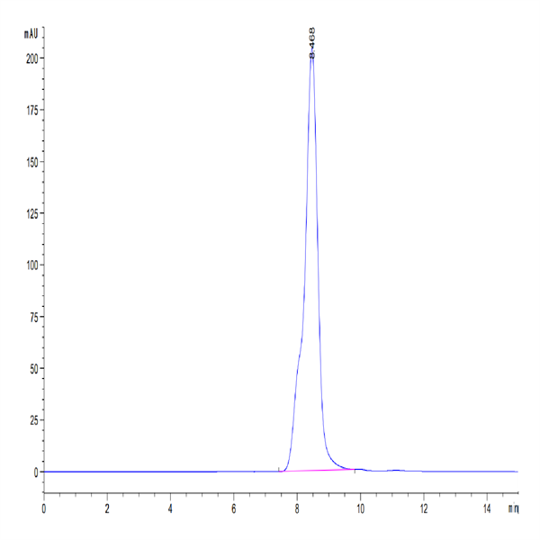 Mouse C-Reactive Protein/CRP Protein (CRP-MM101)