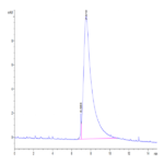 Cynomolgus M-CSF/CSF-1 Protein (CSF-CM101)