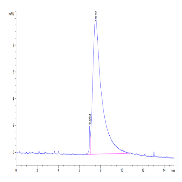Cynomolgus M-CSF/CSF-1 Protein (CSF-CM101)
