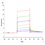 Cynomolgus M-CSF R/CSF1R/CD115 Protein (CSF-CM11R)