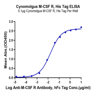Cynomolgus M-CSF R/CSF1R/CD115 Protein (CSF-CM11R)