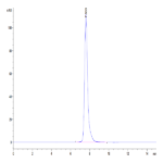 Cynomolgus M-CSF R/CSF1R/CD115 Protein (CSF-CM11R)