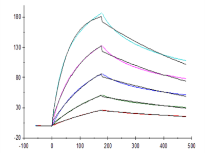 Human M-CSF/CSF-1 Protein (CSF-HM001)