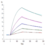 Human M-CSF R/CSF1R/CD115 Protein (CSF-HM21R)
