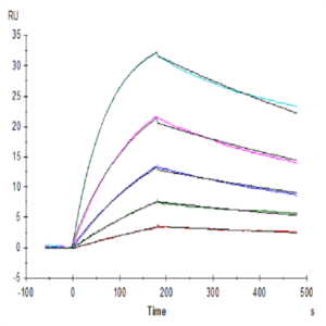 Human M-CSF R/CSF1R/CD115 Protein (CSF-HM21R)