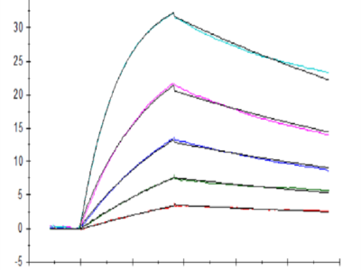 Human M-CSF R/CSF1R/CD115 Protein (CSF-HM21R)