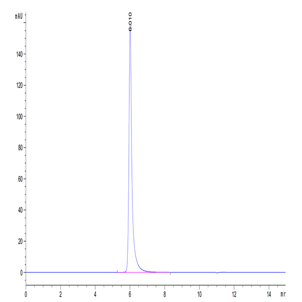 Human M-CSF R/CSF1R/CD115 Protein (CSF-HM21R)