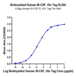 Biotinylated Human M-CSF/CSF-1 Protein (CSF-HM401B)