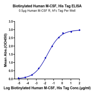 Biotinylated Human M-CSF/CSF-1 Protein (CSF-HM401B)