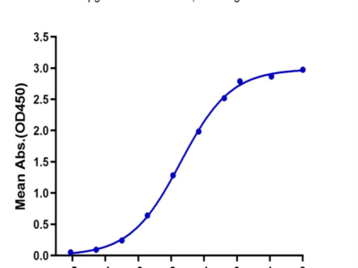 Biotinylated Human M-CSF/CSF-1 Protein (CSF-HM401B)