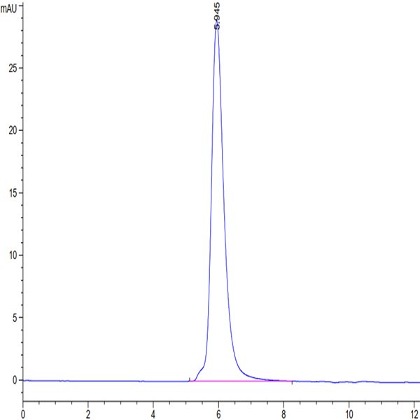 Human M-CSF R/CSF1R/CD115 Protein (CSF-HM41R)