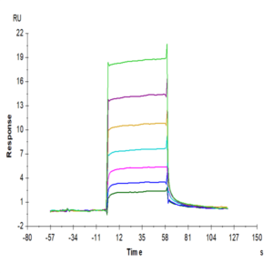 Biotinylated Human M-CSF R/CSF1R/CD115 Protein (CSF-HM41RB)