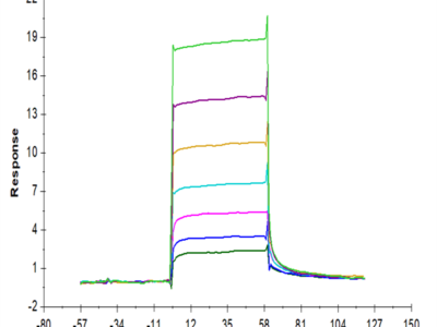 Biotinylated Human M-CSF R/CSF1R/CD115 Protein (CSF-HM41RB)