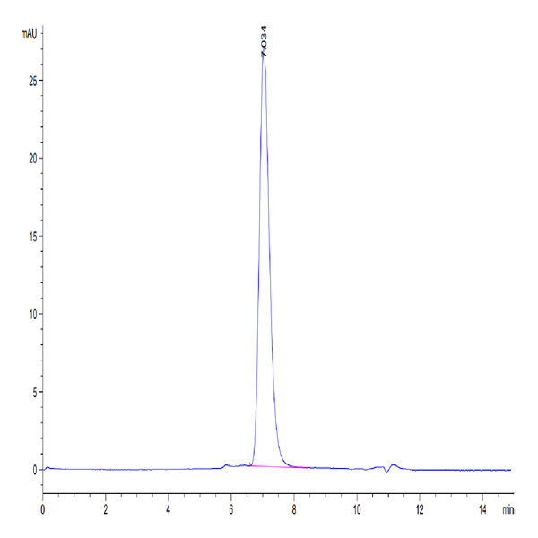 Biotinylated Human GM-CSF R alpha Protein (CSF-HM42RB)