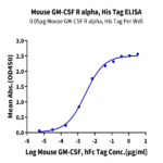 Mouse GM-CSF R alpha Protein (CSF-MM12R)