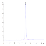 Mouse GM-CSF R alpha Protein (CSF-MM12R)
