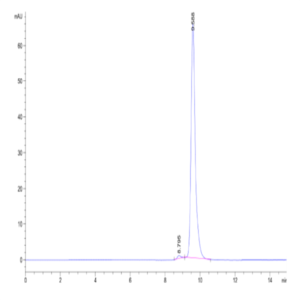 Mouse Cathepsin H Protein (CSH-MM101)