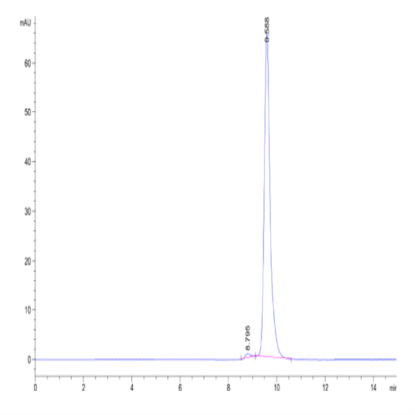 Mouse Cathepsin H Protein (CSH-MM101) Mouse Cathepsin H Protein (CSH-MM101)
