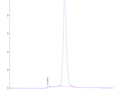 Cynomolgus CSPG4/MCSP Protein (CSP-CM1P4)