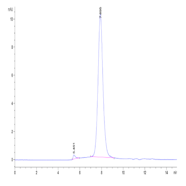 Cynomolgus CSPG4/MCSP Protein (CSP-CM1P4) Cynomolgus CSPG4/MCSP Protein (CSP-CM1P4)