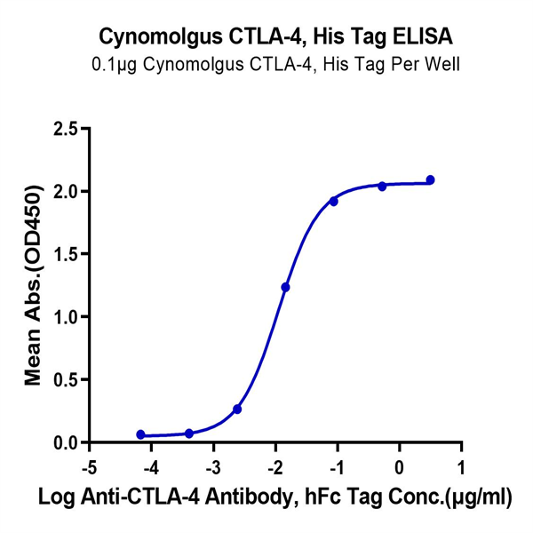 Cynomolgus CTLA-4/CD152 Protein (CTL-CM141)