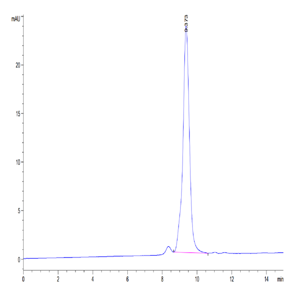 Cynomolgus CTLA-4/CD152 Protein (CTL-CM141)