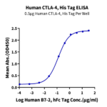Human CTLA-4/CD152 Protein (CTL-HM141)