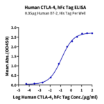 Human CTLA-4/CD152 Protein (CTL-HM241)