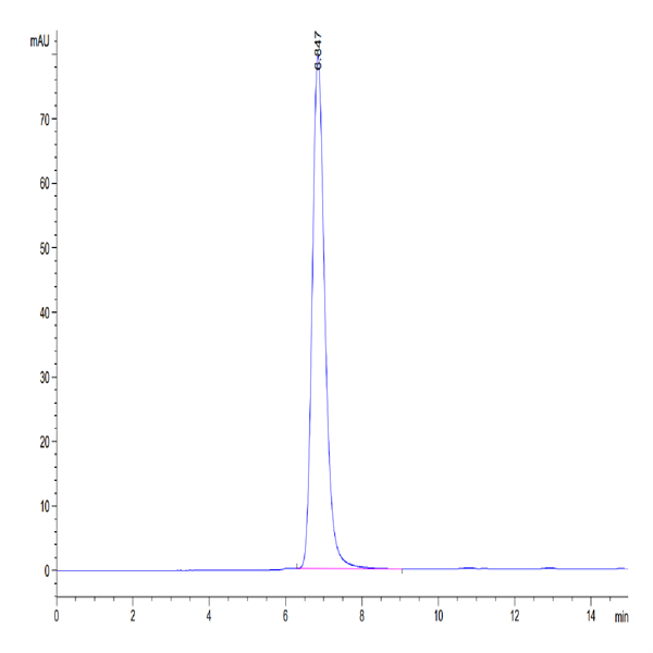 Human CTLA-4/CD152 Protein (CTL-HM241)