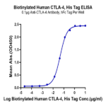 Biotinylated Human CTLA-4/CD152 Protein (CTL-HM401B)