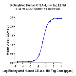 Biotinylated Human CTLA-4/CD152 Protein (CTL-HM401B)