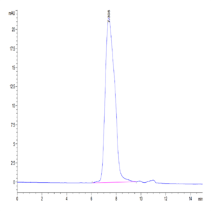 Human CX3CL1/Fractalkine Protein (CX3-HM101)