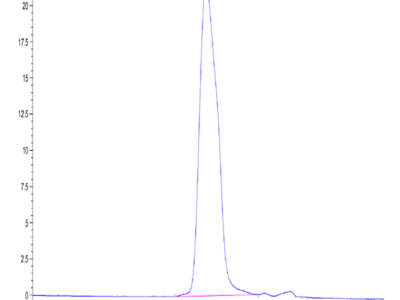 Human CX3CL1/Fractalkine Protein (CX3-HM101)