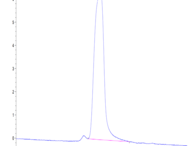 Mouse CX3CL1/Fractalkine Protein (CX3-MM101)