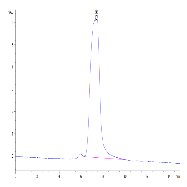 Mouse CX3CL1/Fractalkine Protein (CX3-MM101) Mouse CX3CL1/Fractalkine Protein (CX3-MM101)