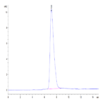 Biotinylated Mouse CX3CL1/Fractalkine Protein (CX3-MM401B)