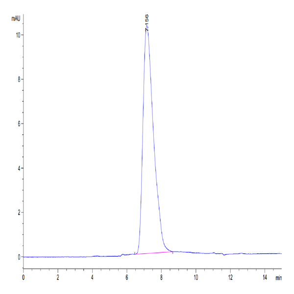 Biotinylated Mouse CX3CL1/Fractalkine Protein (CX3-MM401B) Biotinylated Mouse CX3CL1/Fractalkine Protein (CX3-MM401B)