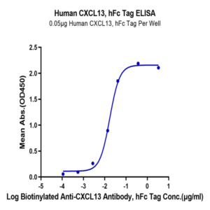 Human CXCL13/BCA-1 Protein (CXC-HM213)