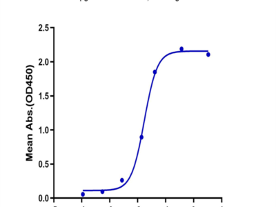 Human CXCL13/BCA-1 Protein (CXC-HM213)