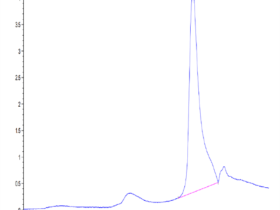 Mouse CXCL13/BCA-1 Protein (CXC-MM113)