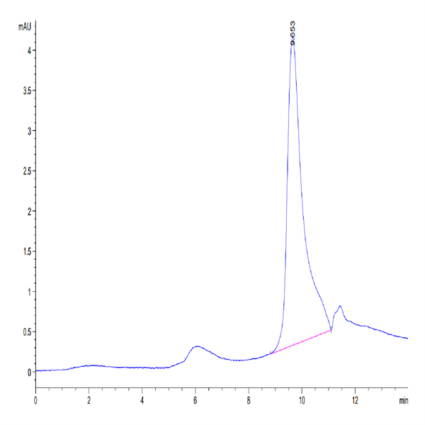 Mouse CXCL13/BCA-1 Protein (CXC-MM113) Mouse CXCL13/BCA-1 Protein (CXC-MM113)