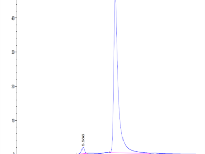 Mouse CXCL13/BCA-1 Protein (CXC-MM213)