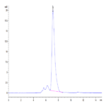 Mouse CXCL16 Protein (CXC-MM216)
