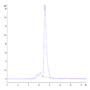 Mouse CXCL16 Protein (CXC-MM216)