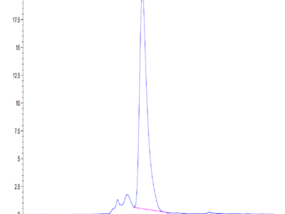 Mouse CXCL16 Protein (CXC-MM216)