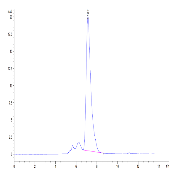 Mouse CXCL16 Protein (CXC-MM216) Mouse CXCL16 Protein (CXC-MM216)