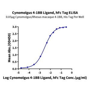 Cynomolgus 4-1BB Ligand/TNFSF9 Protein , BBL-CM241 Ushelf