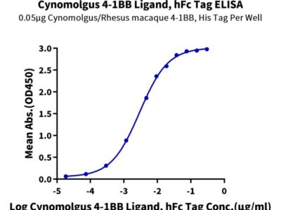 Cynomolgus 4-1BB Ligand/TNFSF9 Protein , BBL-CM241 Ushelf